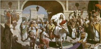 Κυριακή των Βαΐων (Βίντεο)