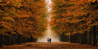 Να σκέφτεσαι την προέλευση του ανθρώπου