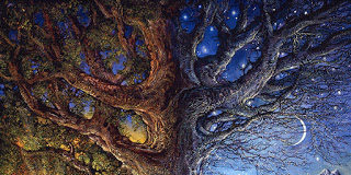 Ο άσπλαγχνος μοναχός που πλανέθηκε, γιατί έκανε ξερή άσκηση χωρίς αγάπη και διάκρισηΑ