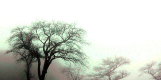 Πως να σώσω την ψυχή μου ;