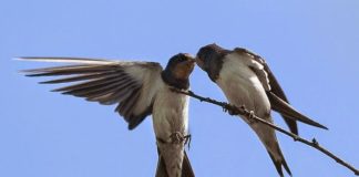 Ιούνιος ! Καλό μήνα σε όλους !