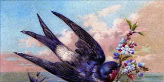 Ὁ Θεός μᾶς ἔδωσε τήν ἀληθινή ἐλευθερία