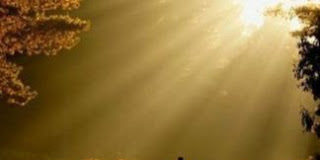 Αν νοιώσεις μέσα στις φλέβες σου το Θεό, τότε ηρέμησες