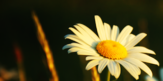 Για την Αγάπη