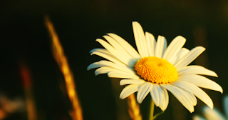 Γιά τήν Ἀγάπη