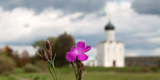 Ελπιδοφόρα απελπισία