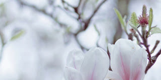 Η Αληθινή Ταπείνωση