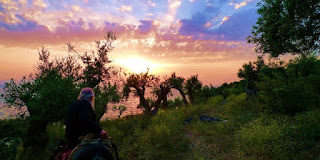 Με την αγία απλότητα γνωρίζει ο άνθρωπος τα μυστήρια του Θεού