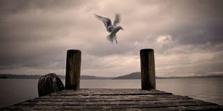 Περί ανυπομονησίας…