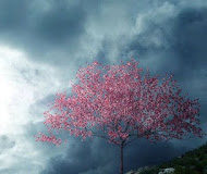 Περιστασιακές δοκιμασίες και βάσανα