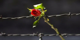 Σε κάθε άκρη της γης