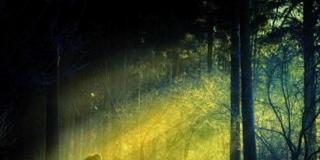 Σου εμπιστεύτηκε ο Θεός ένα μικρό πειρασμό, μία μικρή δυσκολία, ένα προβληματάκι…