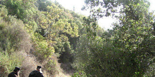 Το θέλημα του Θεού στη ζωή μας