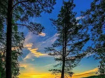 Τι πρέπει να ξέρουμε για τους λογισμούς ;