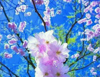 Το μήνυμα της ημέρας