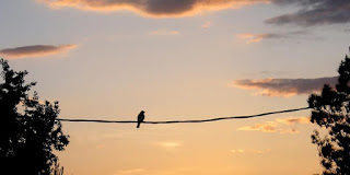 «Καλώδιο υψηλής τάσης»