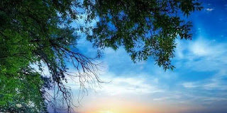 Κάθε μέρα υπάρχει ένα μήνυμα για σένα