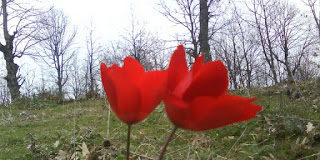 Μην αλλάξεις…. Σ’ αγαπώ