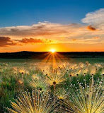 Εκείνος πού αγωνίζεται για την αρετή ποτέ δεν μένει μόνος του στον πνευματικό του αγώνα