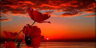 “Αν παραβλέπουμε τα σφάλματα των άλλων, θα παραβλέψει και ο Θεός τα δικά μας”