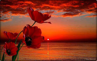 Αν παραβλέπουμε τα σφάλματα των άλλων, θα παραβλέψει και ο Θεός τα δικά μας