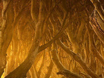 Η εσωτερική ειρήνη