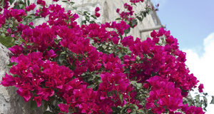 Συμβουλές για τον αυστηρό