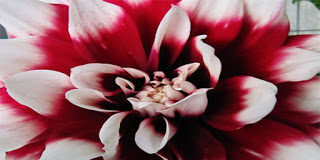 Ο καθένα δίνει ότι έχει…