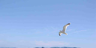 Προσοχή στο φθόνο