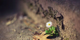 Τί εἶναι ἡ οἴηση;