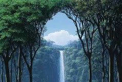 Αν δαγκώνετε και κατατρώγετε ο ένας τον άλλο…