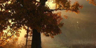 Αρετές και πάθη μέσα στην Οικογένεια