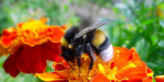 Ο δρόμος της ευτυχίας