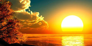 Η καλλιέργεια της καρδιάς