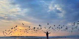 Ο πραγματικά σοφός άνθρωπος