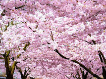 Οι εντολές του Θεού ως φάρμακα για την θεραπεία μας