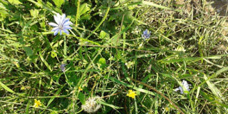 Πῶς θά καταλάβουμε ἂν τά ἐμπόδια εἶναι ἀπό τόν Θεό;