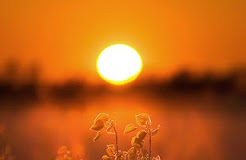 Συγχωρείς τους άλλους ;