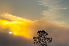 Η υποκρισία