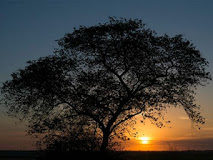 Ασκητική πορεία αναγέννησης