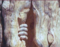 Ζωή χωρίς μοναξιά