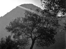 Η κάθαρση από τα πάθη δίνει την υγεία της ψυχής