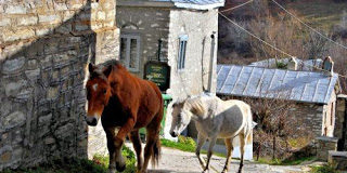 Μόνο ο Θεός το ξέρει