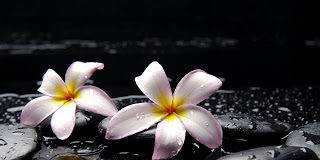 Να βλέπεις τους άλλους ως αγίους…