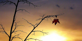 Σχόλιο πάνω στην ευθανασία : Ο Ένας και ο Άλλος