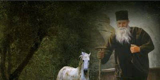 Ο γέροντας και τ’ άλογο – Τι είναι καλό και τι κακό;