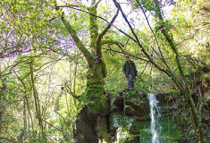 Ο δρόμος των Χριστιανών είναι η κατάβαση και η ανάβαση