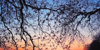 Πως αποκτάται η καρδιακή πίστη