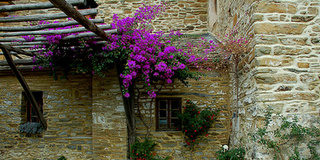 Αόρατος πόλεμος Αγίου Νικοδήμου Αγιορείτου : Τα πολλά θελήματα και οι επιθυμίες