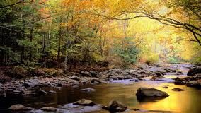 Το στόμα σου δόθηκε όχι για να δαγκώνεις, αλλά για να παρηγορείς με τα λόγια σου